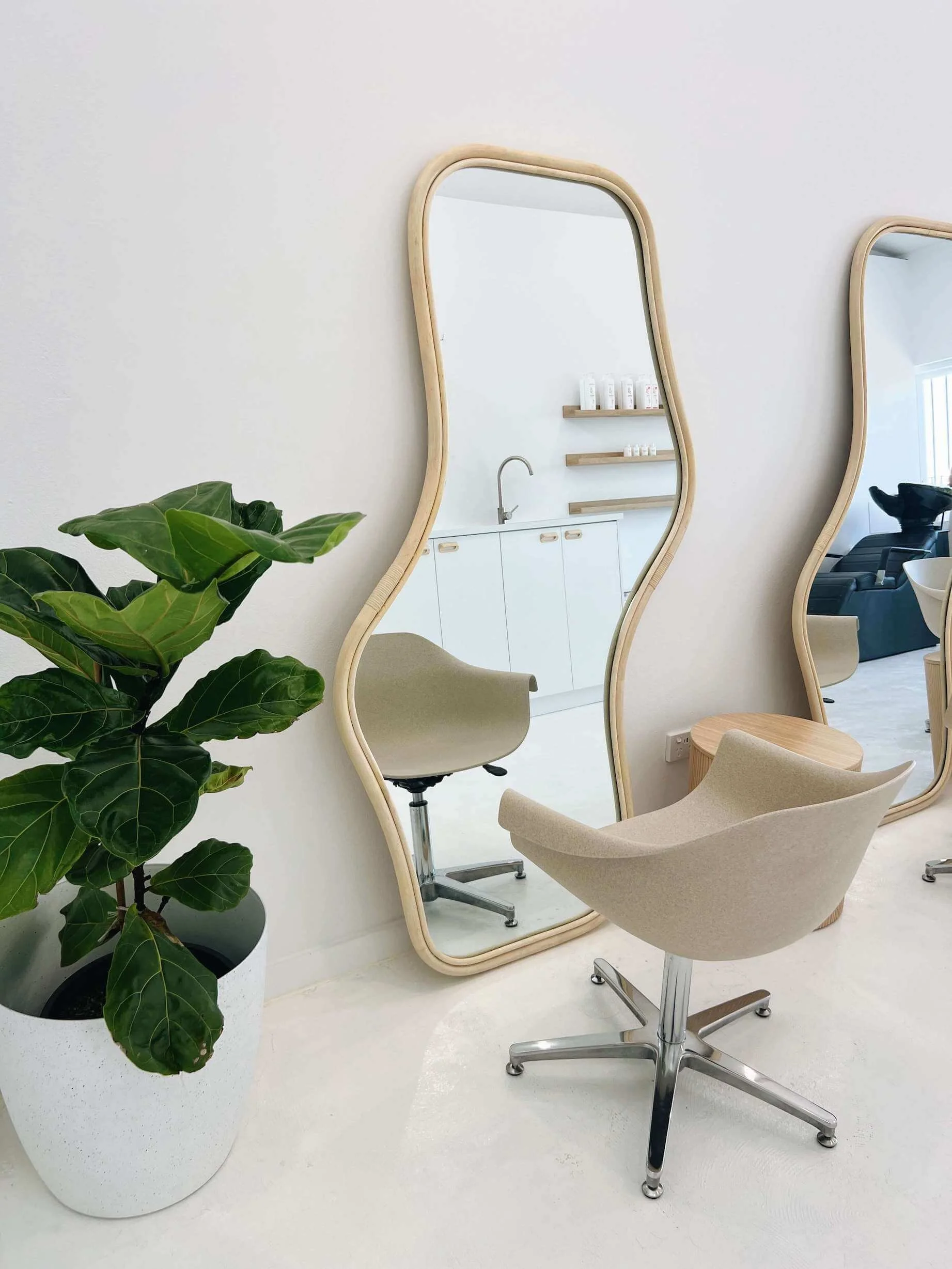 Blow Drys That Won t Break The Bank SHIRE SCOUT